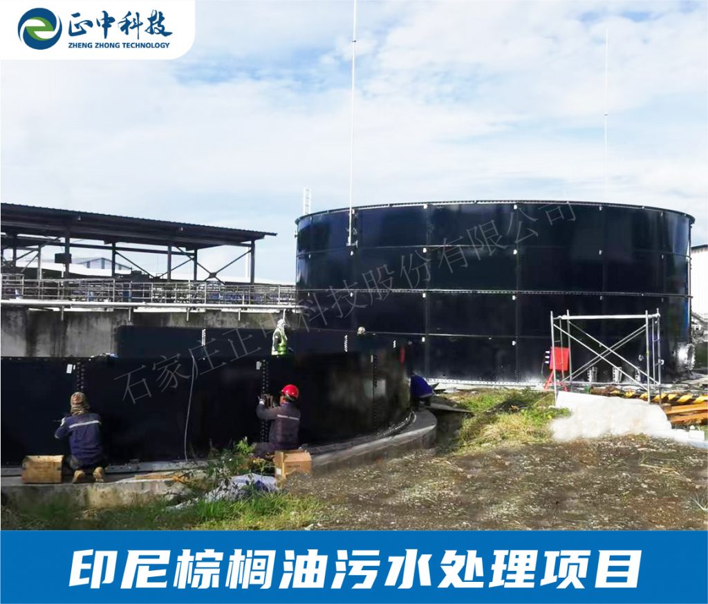 棕榈油污水处理项目